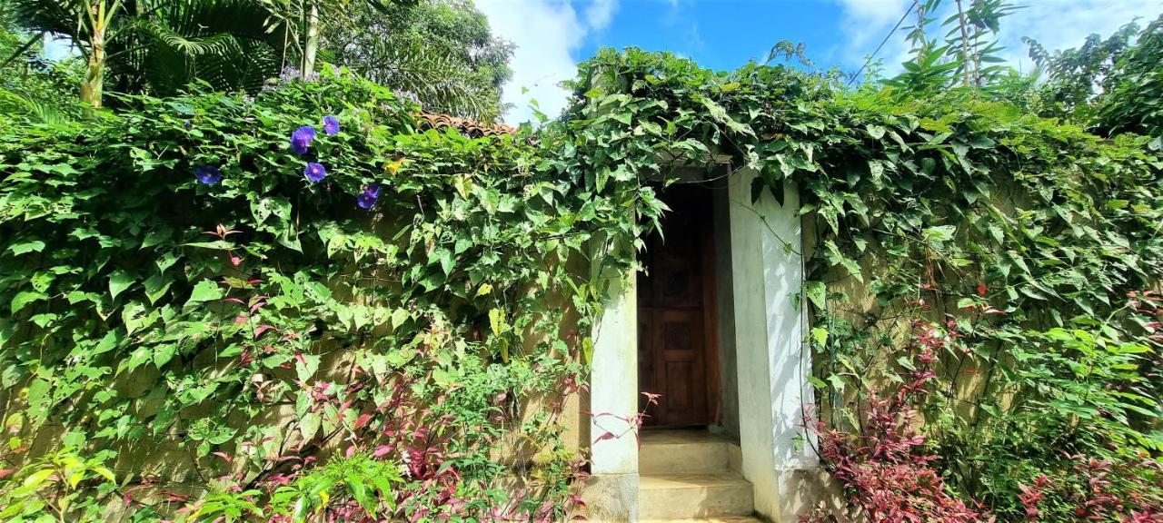 Sand Dollar House, Hiriketiya Dikwella Exterior foto