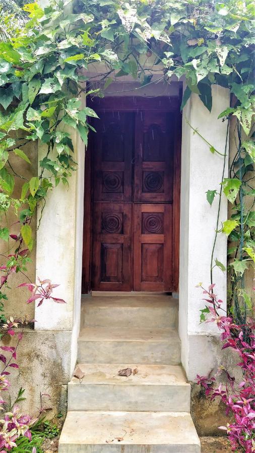 Sand Dollar House, Hiriketiya Dikwella Exterior foto